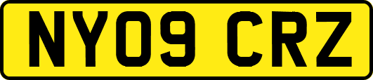 NY09CRZ