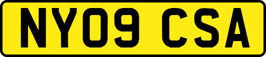 NY09CSA