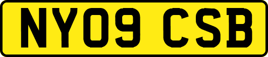 NY09CSB