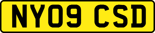 NY09CSD