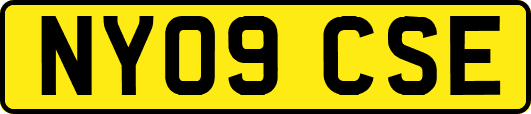 NY09CSE