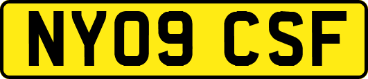 NY09CSF