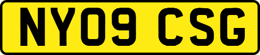 NY09CSG