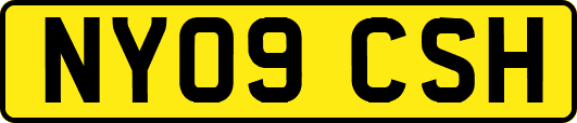 NY09CSH