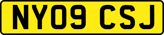 NY09CSJ