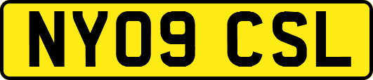 NY09CSL