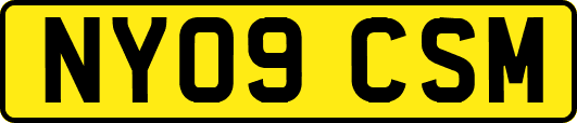 NY09CSM