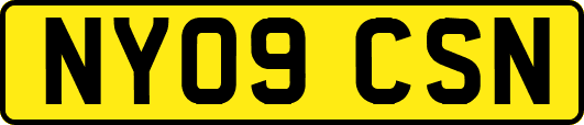 NY09CSN