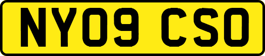 NY09CSO