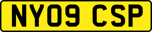 NY09CSP