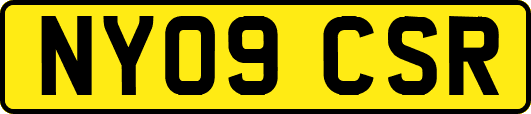 NY09CSR