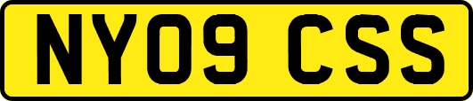 NY09CSS