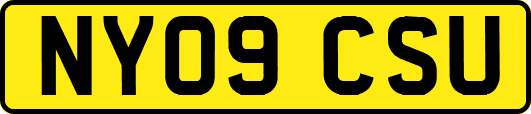 NY09CSU
