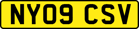NY09CSV