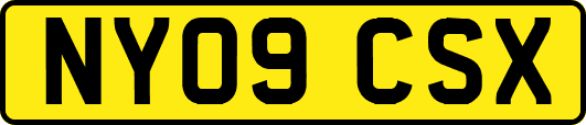 NY09CSX