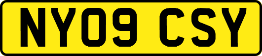 NY09CSY