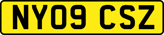 NY09CSZ