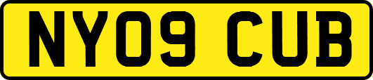 NY09CUB