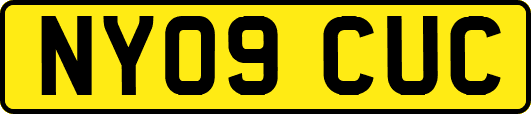 NY09CUC