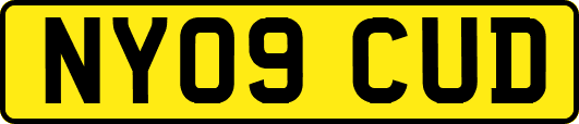 NY09CUD