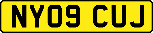 NY09CUJ