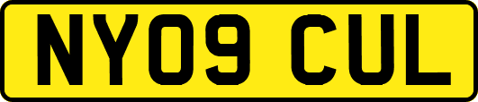 NY09CUL