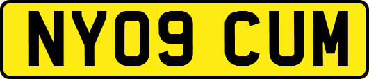 NY09CUM