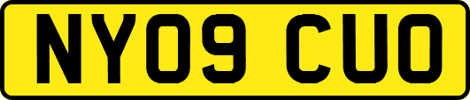 NY09CUO