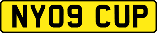 NY09CUP