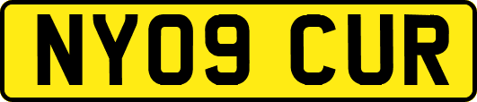 NY09CUR