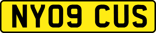 NY09CUS