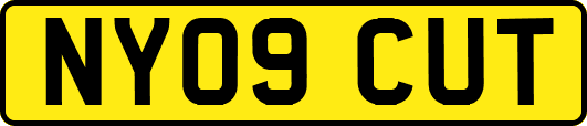 NY09CUT