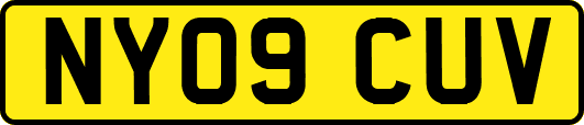 NY09CUV