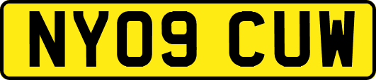 NY09CUW