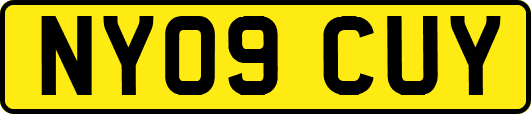NY09CUY
