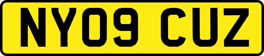 NY09CUZ