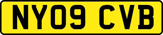 NY09CVB