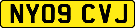 NY09CVJ
