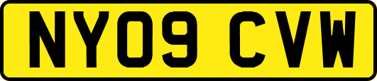 NY09CVW