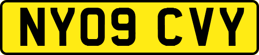 NY09CVY