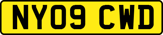 NY09CWD