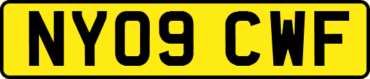NY09CWF
