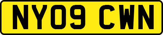 NY09CWN