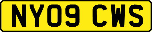 NY09CWS