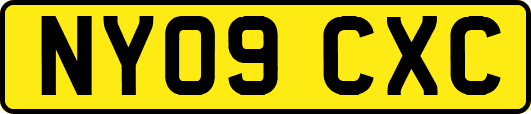 NY09CXC