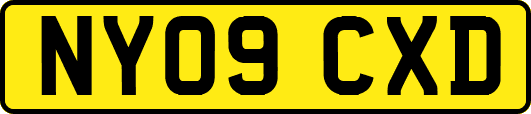 NY09CXD