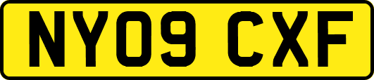 NY09CXF