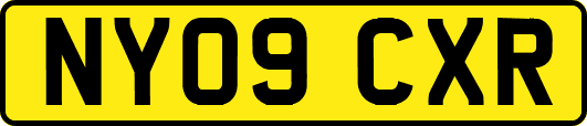 NY09CXR