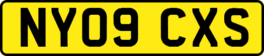 NY09CXS