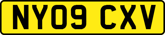 NY09CXV